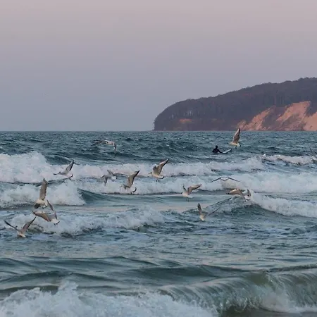 Ruegenherz Dachtraeume Atelierwohnung 1 - 4 Personen * Parchtitz