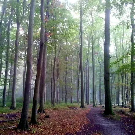 Ruegenherz Dachtraeume Atelierwohnung 1 - 4 Personen Apartament