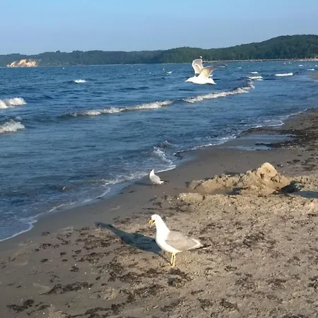 Ruegenherz Dachtraeume Atelierwohnung 1 - 4 Personen Parchtitz