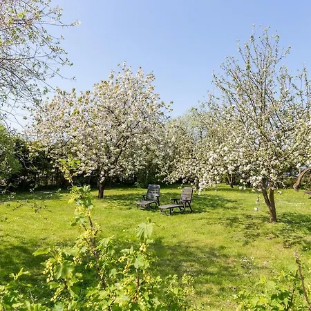 Ruegenherz Dachtraeume Atelierwohnung 1 - 4 Personen Apartament Parchtitz