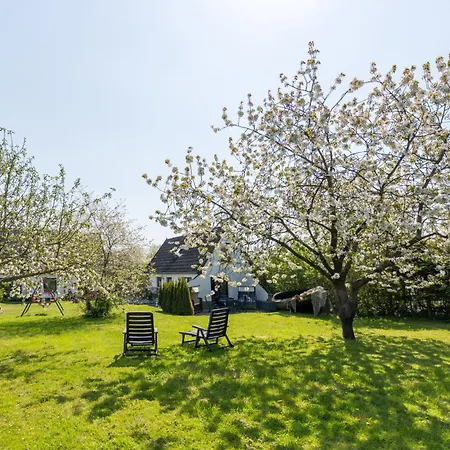 Ruegenherz Dachtraeume Atelierwohnung 1 - 4 Personen *